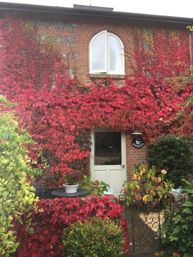 The Dovecote, Stoke Farthing Courtyard Villa Broad Chalke Exterior photo